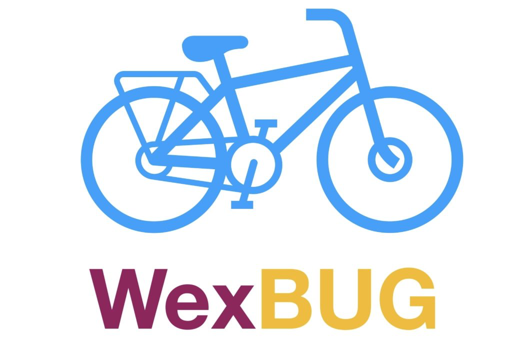 Read more about the article WexBUG Age Friendly Submission to Wexford Co Co.